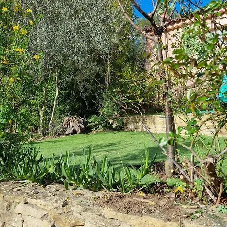 Dans Un Oasis De Verdure - * Ceyreste