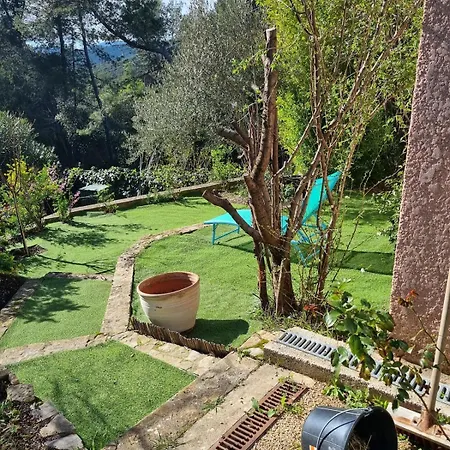 Dans Un Oasis De Verdure -