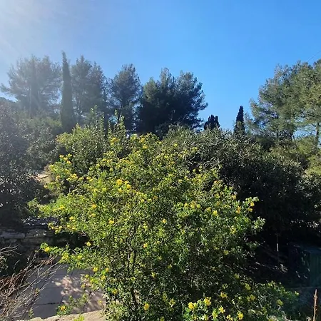 Dans Un Oasis De Verdure - Apartmán *