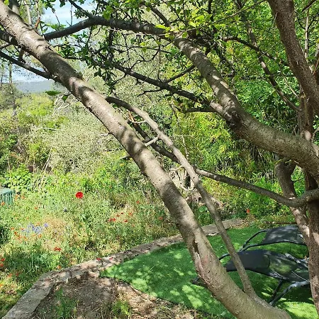 Dans Un Oasis De Verdure - Apartmán *