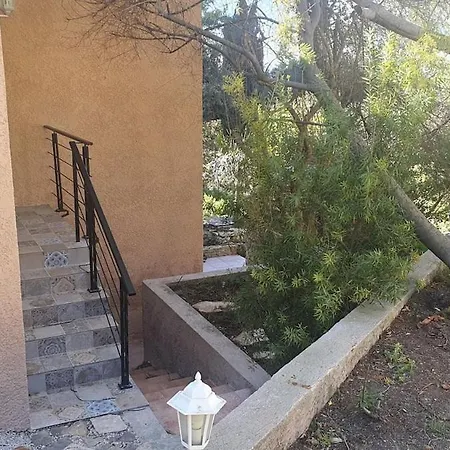 Dans Un Oasis De Verdure - *