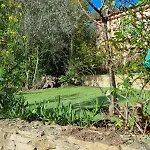 Dans Un Oasis De Verdure - * Ceyreste
