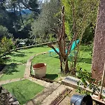 Dans Un Oasis De Verdure -