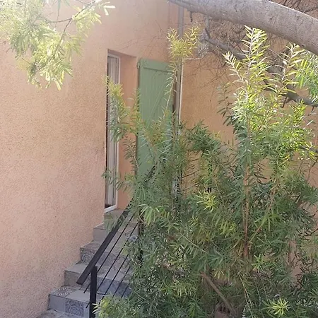 Apartment Dans Un Oasis De Verdure -